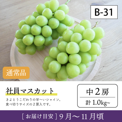 9月-10月}【受付準備中】B31/社員ﾏｽｶｯﾄ【中2房】6K