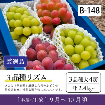 3品種リズム}【受付準備中】B148/3品種リズム【大4房/厳選品】8R