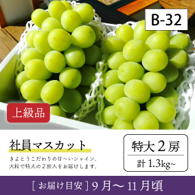 10月-11月}【受付準備中】B32-2/社員ﾏｽｶｯﾄ【特大2房/上級品】2R