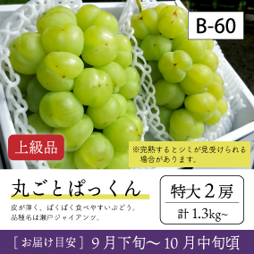 10月-11月B60/ぱっくん【特大2房/上級品】2R