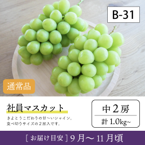 10月-11月}【受付準備中】B31-2/社員ﾏｽｶｯﾄ【中2房】6K