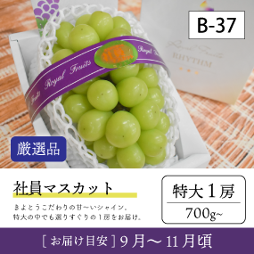 社員リズム10月}【受付準備中】B37-2/社員ﾏｽｶｯﾄ【特大1房/厳選品】7R