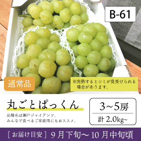 10月-11月}【受付準備中】B61/ぱっくん【3-5房】4K