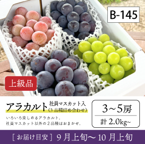 10月-11月}【受付準備中】B145-2/社員ﾏｽｶｯﾄ入ｱﾗｶﾙﾄ【3-5房/上級品】4R
