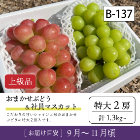 10月-11月}【受付準備中】B137-2/おまかせ葡萄＆社員ﾏｽｶｯﾄ【特大2房/上級品】2R