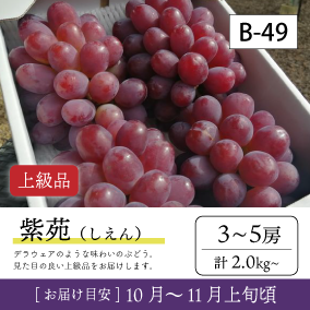 10月-11月}【受付準備中】B49/紫苑【3-5房/上級品】4R