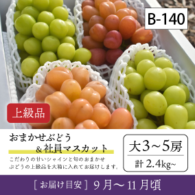 10月-11月}【受付準備中】B140-2/おまかせ葡萄＆社員ﾏｽｶｯﾄ【大3-5房/上級品】30R