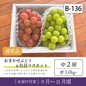 10月-11月}【受付準備中】B136-2/おまかせ葡萄＆社員ﾏｽｶｯﾄ【中2房】6K