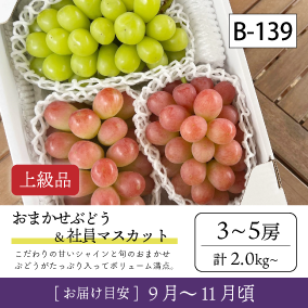 10月-11月}【受付準備中】B139-2/おまかせ葡萄＆社員ﾏｽｶｯﾄ【3-5房/上級品】4R