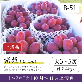 10月-11月}【受付準備中】B51/紫苑【大3-5房/上級品】30R