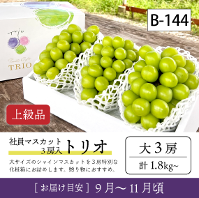 10月-11月B144-2/社員ﾏｽｶｯﾄ3房入トリオ【大3房/上級品】3R
