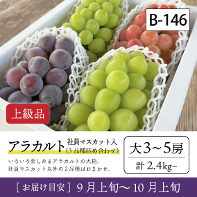10月-11月}【受付準備中】B146-2/社員ﾏｽｶｯﾄ入ｱﾗｶﾙﾄ【大3-5房/上級品】30R