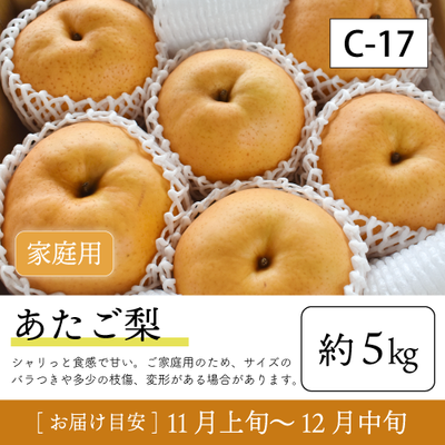 あたご梨}【受付準備中】C17/あたご梨【約5kg/ご家庭用】90K