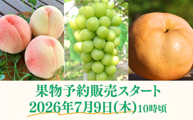 2026年度果物予約販売スタート