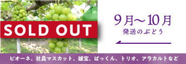 9月-10月の葡萄