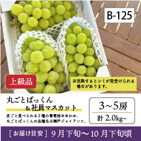 10月-11月B125/ぱっくん＆社員ﾏｽｶｯﾄ【3-5房/上級品】4R