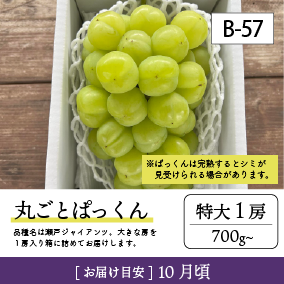 10月-11月B57/ぱっくん【特大1房/上級品】1S
