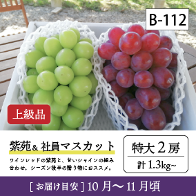 10月-11月B112/紫苑＆社員ﾏｽｶｯﾄ【特大2房/上級品】2R