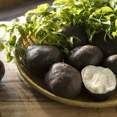 丹波篠山産 山の芋 特秀品 4kg箱