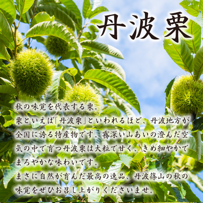 2025年産 丹波栗 むき栗 300g×2袋 (冷凍) ※予約商品※ | やまゆ