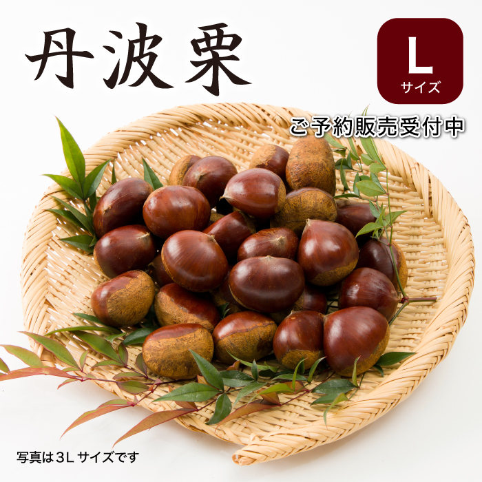 ふるさと納税 [先行予約]期間・数量限定 丹波栗の詰め合わせ 特選銀寄＜京都・八光館＞｜生活応援 訳あり　※2024年10月上旬頃より順次発送予定 .. 京都府亀岡市 ふるさと納税 先行予約期間・数量限定 丹波栗 Lサイズ 1.2kg