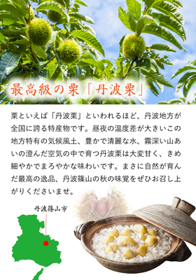 幻の栗⭐︎中山栗2L〜4L混合10kgクール便（匿名不可）農家直送2025-005 幻の栗⭐︎中山栗2L~4L混合10kg箱詰クール便発送 農家直送 2025