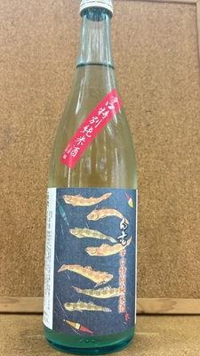 白老　辛口特別純米　ハゼラベル　15度以上16度未満　720ml・1,8L