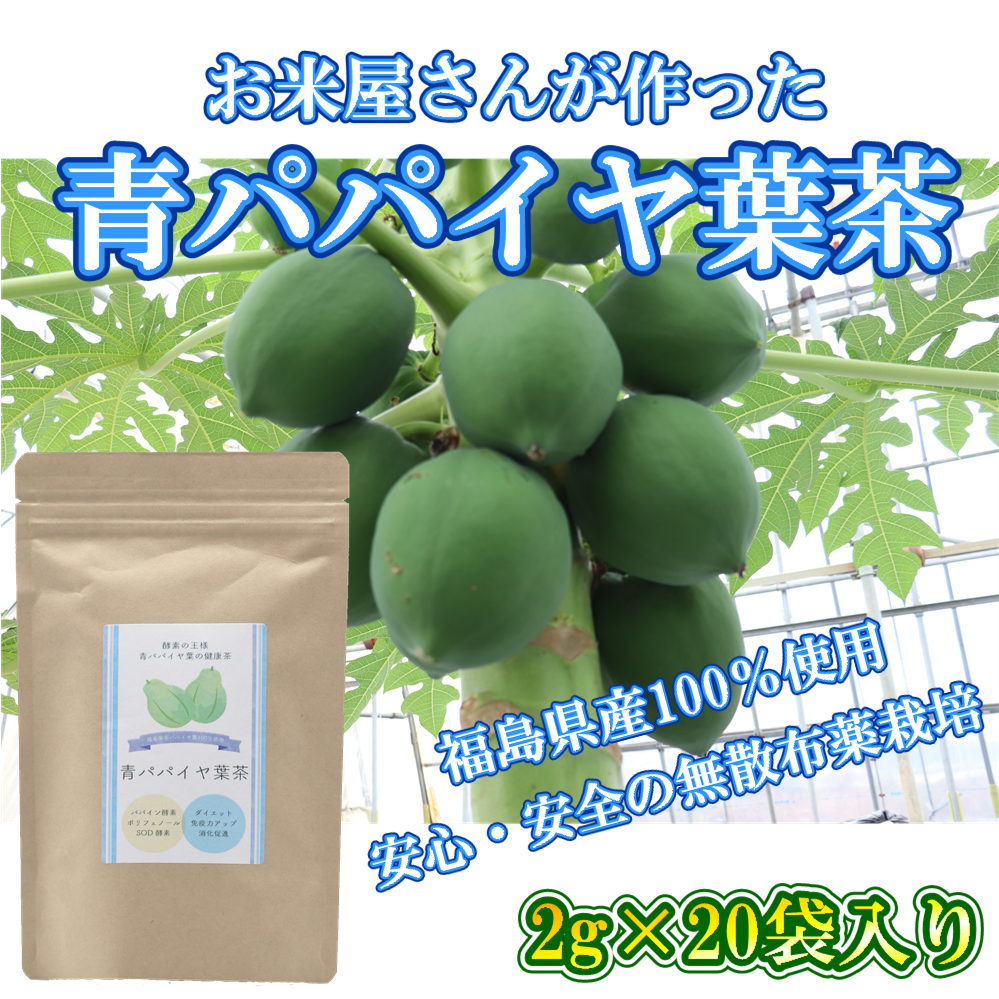 青パパイヤ10kg パンさんご注文パパイヤ Amazon.co.jp: 業務用 青パパイヤ 10kg（約8～15玉）沖縄産 無