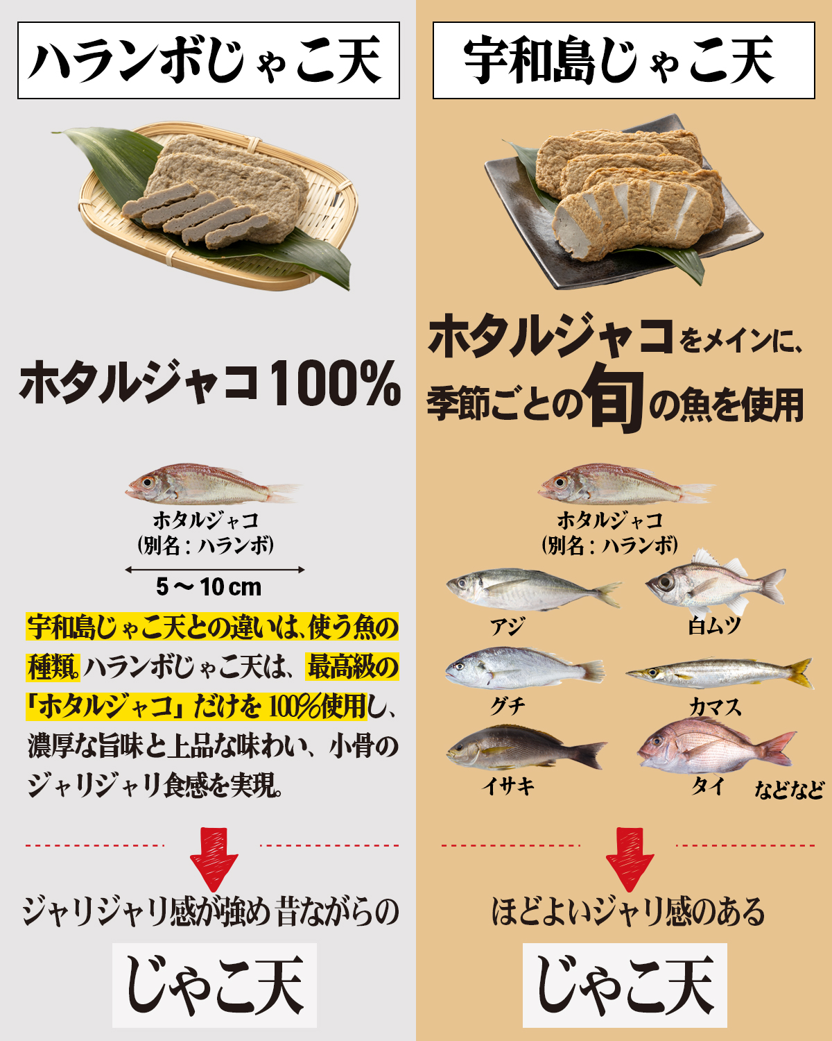 宇和島じゃこ天