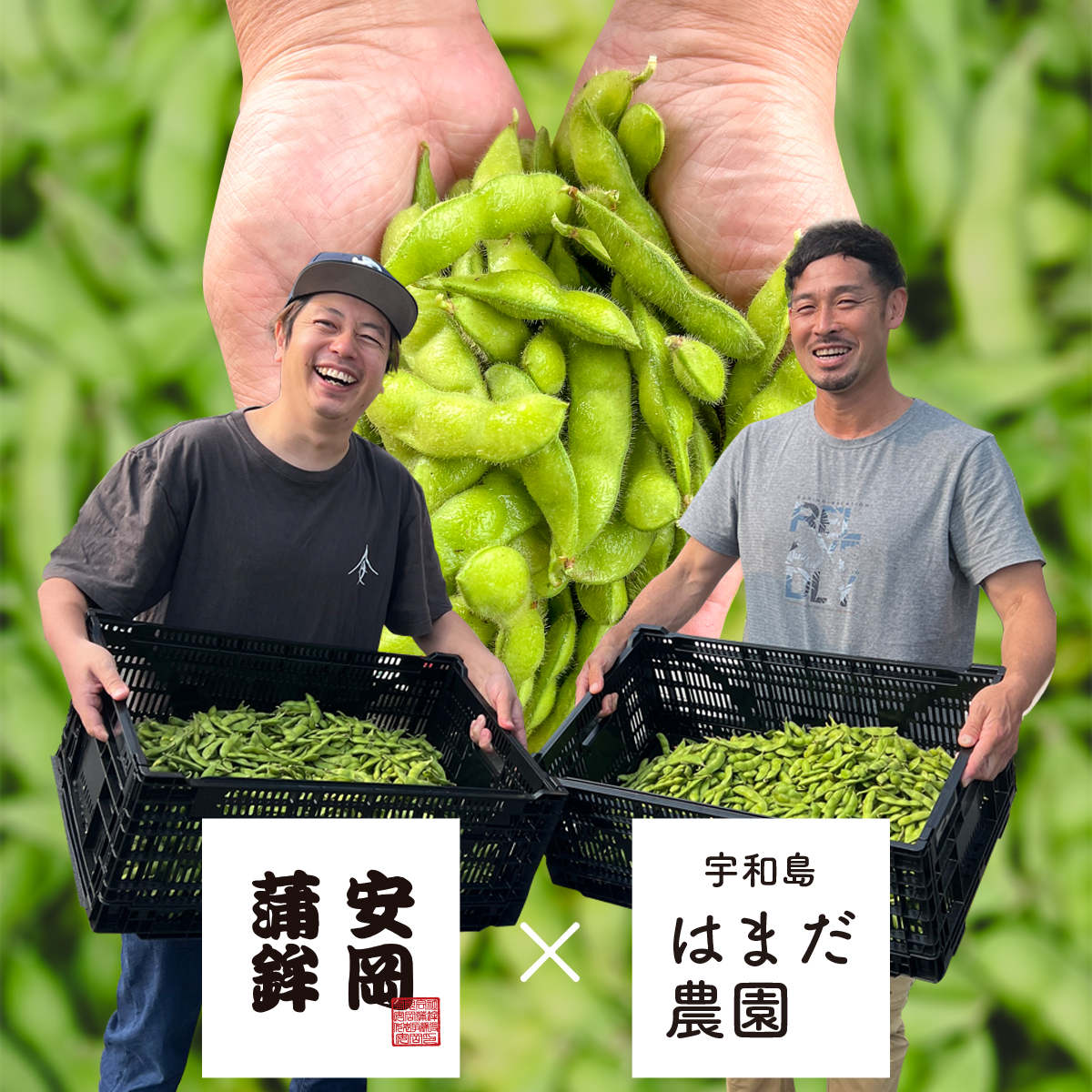 はまだ農園