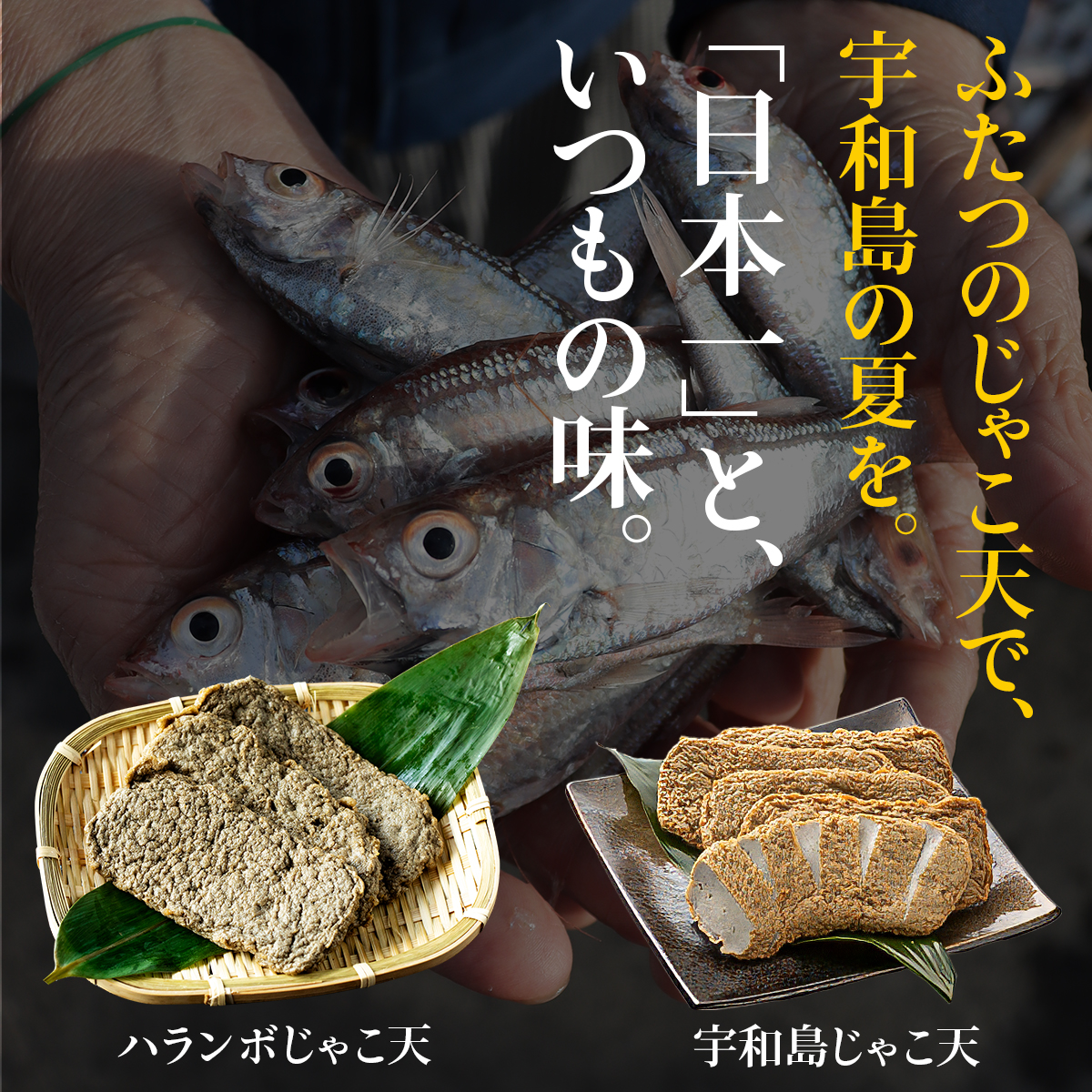 ふたつのじゃこ天で、宇和島の夏を。