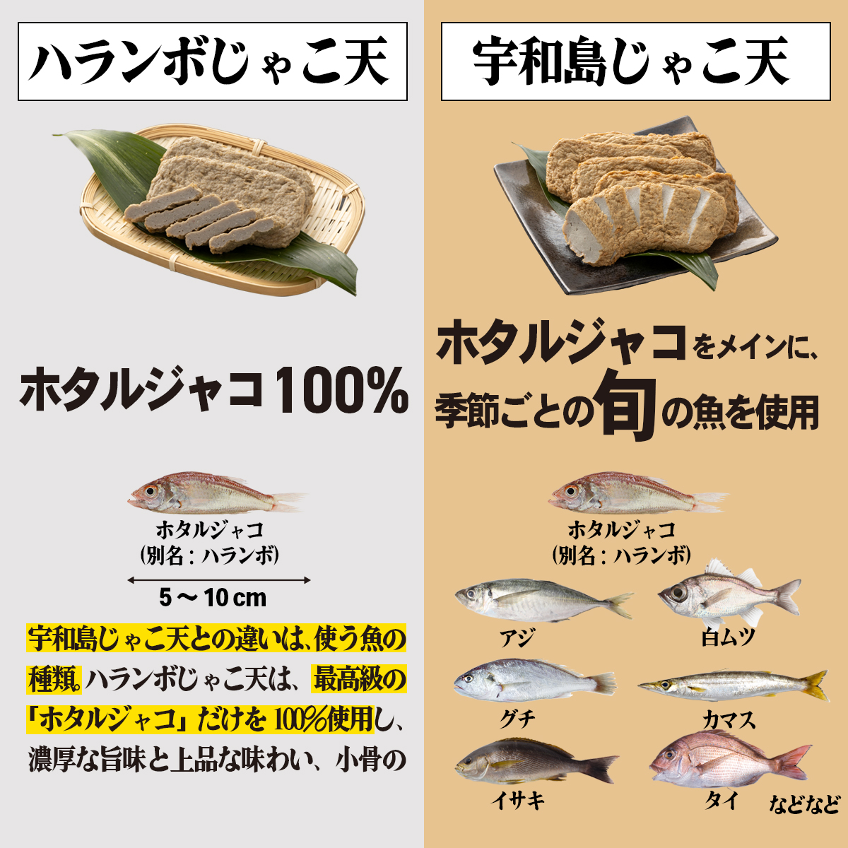 ハランボじゃこ天と宇和島じゃこ天の違い