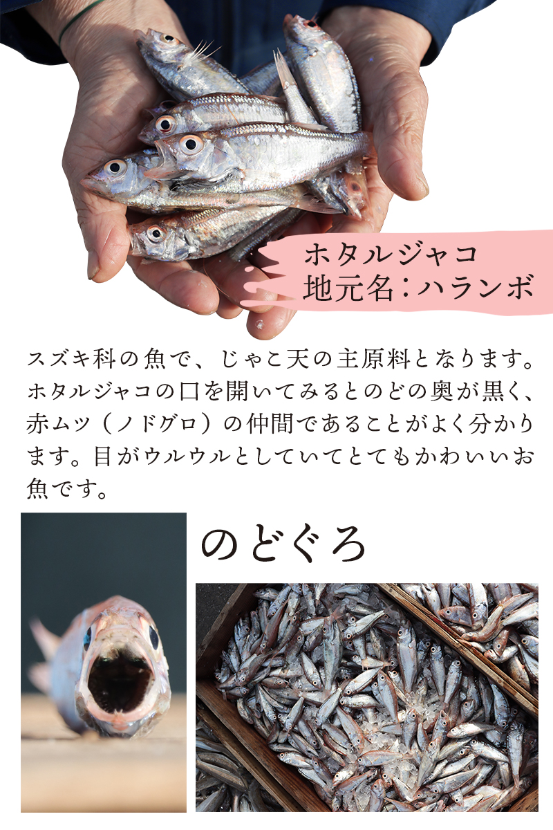 ハランボじゃこ天 と 宇和島じゃこ天 の違い