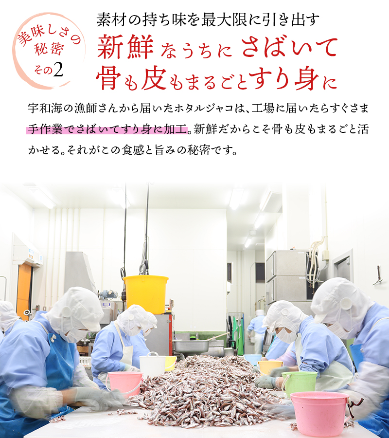 宇和海産100% ホタルジャコ 日本有数の漁場