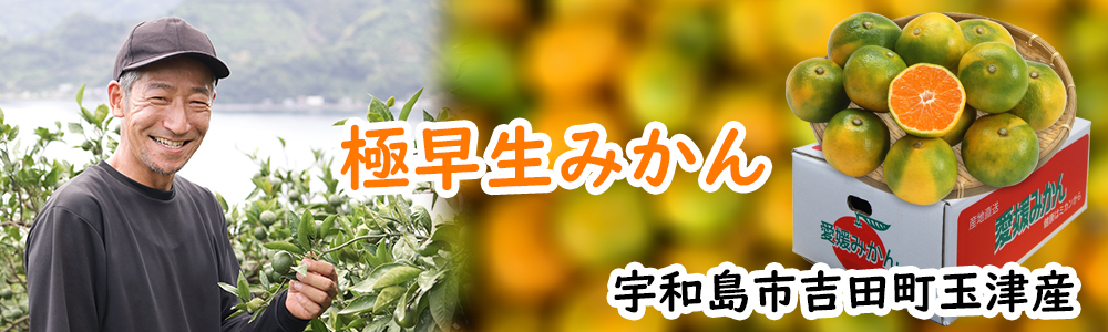 みかん特集