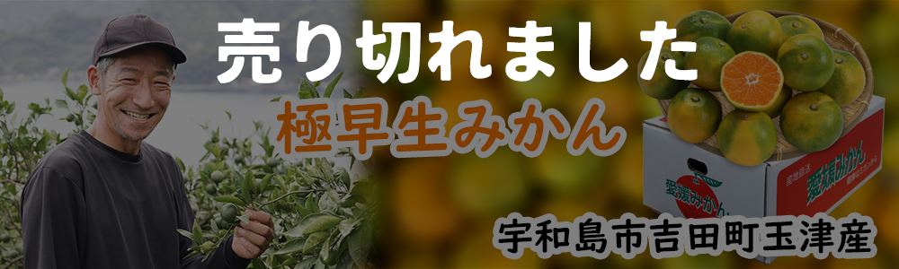 みかん特集