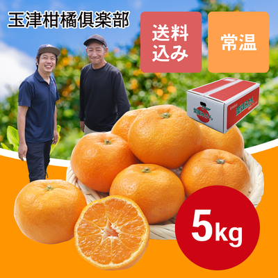 5㎏　温州みかん（南柑20号）【11月下旬から12月上旬からの順次発送】
