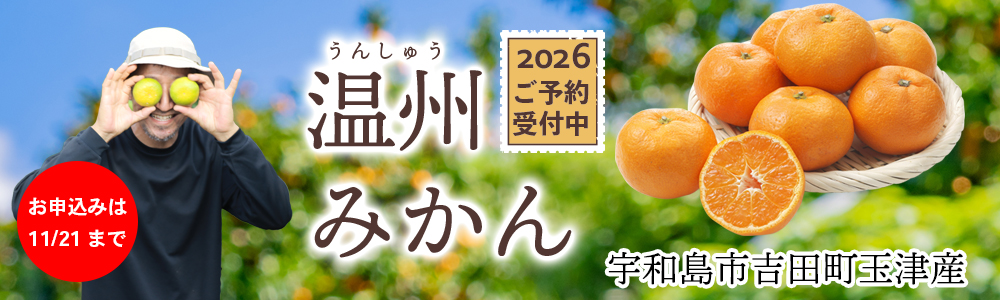 8640円以上で送料無料