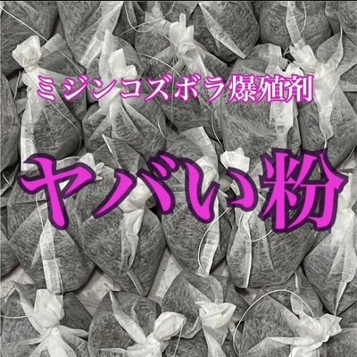 華めだか大阪