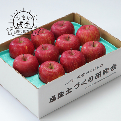 サンふじ　約3kg（8〜12玉）大玉