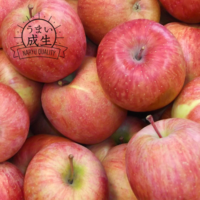 【ご家庭向け訳あり】サンふじ　約10kg（バラ）