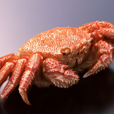 蟹丸 毛がに・帆立・いくらセット｜丸金佐藤水産オンライン | 丸金佐藤水産