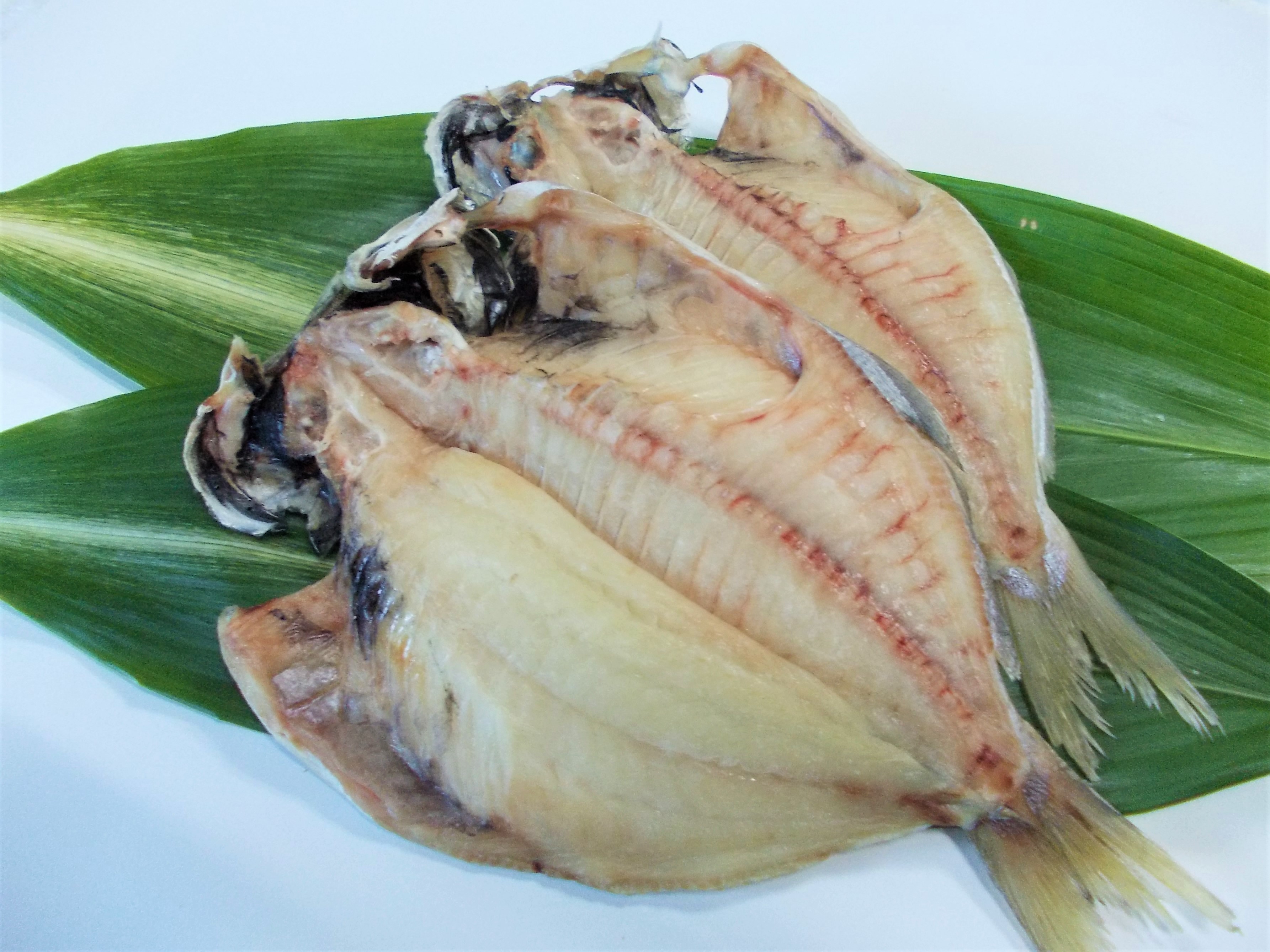 特選エボダイ干物 特大 伊豆 伊東干物通販カネセン商店 干物通販カネセン商店