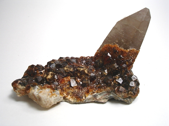 煙水晶と柘榴石 | スターミネラルズジャパン