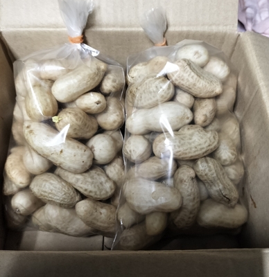 【生落花生おおまさり1kg】★写真はイメージです。✅送料別  代引き手数料別　振込手数料はお客様ご負担になります。北海道、九州、沖縄は送料500円増
