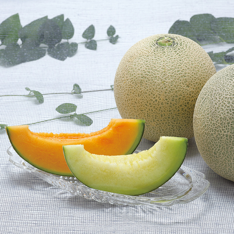 melon_1680512097329.jpg