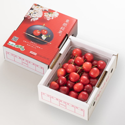 さくらんぼ「やまがた紅王」500gバラパック（2L）【限定500ケース】