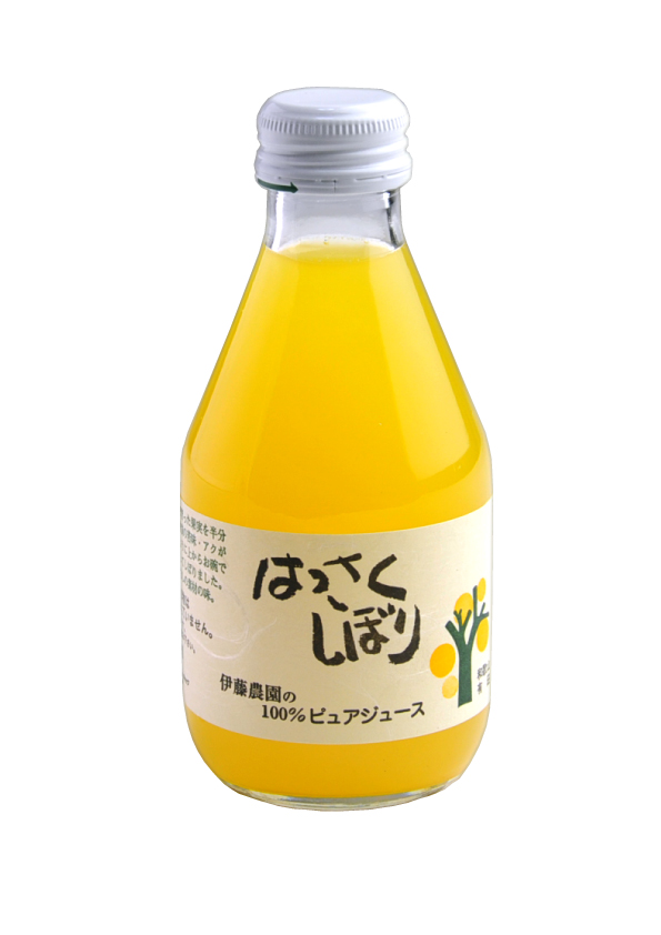 いとはっさく citrus-search hassaku