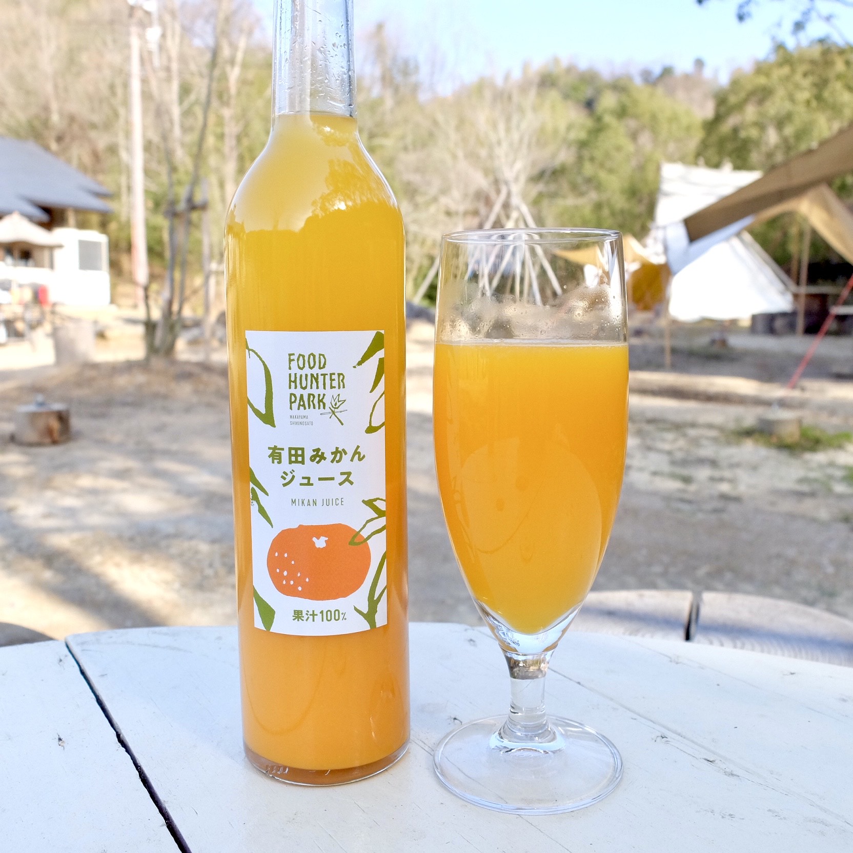 みかん FOOD HUNTER PARKオリジナル 有田みかんジュース 500ml | フード
