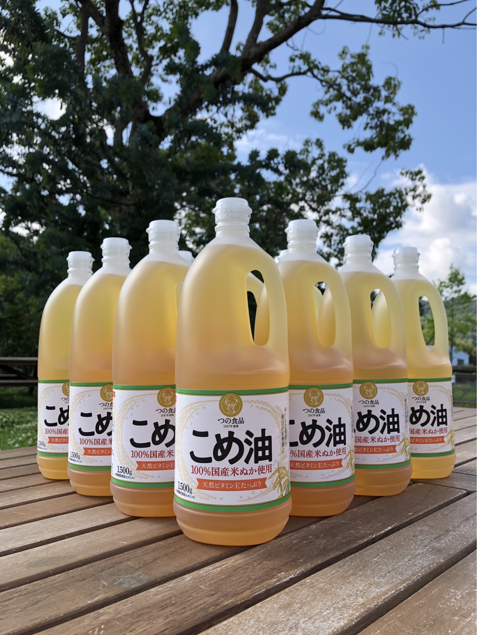 築野食品 こめ油 1500g×10本 Amazon | 築野食品 こめ油 1500g ボトル 1箱 (10本入